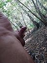 Natuur, foto 2448x3264, 3 reacties, 13 stemmen