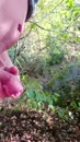 Natuur, film 00:00:00, 14 reacties, 29 stemmen
