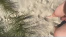 Nederland in beweging…, film 00:00:20, 10 reacties, 39 stemmen