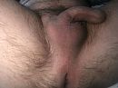Net geschoren, foto 2576x1932, 1 reacties, 4 stemmen