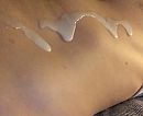 Net, foto 1125x926, 12 reacties, 34 stemmen