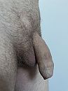 Nice and furry., foto 3000x4000, 2 reacties, 4 stemmen
