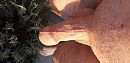Nice, foto 4000x1944, 1 reacties, 0 stemmen