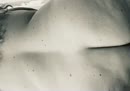 Nieuw speeltje, film 00:00:00, 24 reacties, 126 stemmen