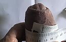 Omtrek: 14,7 cm, foto 1000x644, 0 reacties, 4 stemmen