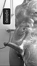 Onder de douche, foto 1078x1924, 0 reacties, 7 stemmen