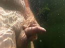 Onder water , Veerse meer., foto 4000x3000, 1 reacties, 11 stemmen