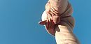 Onderkant, foto 4000x1944, 4 reacties, 25 stemmen