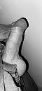 Ook zo’n zin?, foto 888x1920, 6 reacties, 14 stemmen