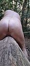 Op een boom., foto 1504x3264, 0 reacties, 6 stemmen