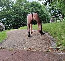 Op handen en voeten, foto 2868x2676, 6 reacties, 11 stemmen
