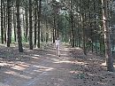 Op wandel bij Blauwe Kei, Lomm, foto 1200x900, 1 reacties, 2 stemmen