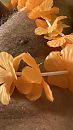 Oranje tintje…, foto 1737x3088, 0 reacties, 3 stemmen