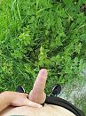 Outdoor, foto 450x600, 21 reacties, 49 stemmen