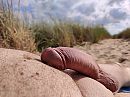 P3, foto 4000x3000, 1 reacties, 11 stemmen