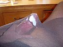 Panty's, foto 1280x960, 10 reacties, 29 stemmen