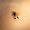 Photoshoot, foto 3600x3600, 7 reacties, 28 stemmen