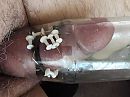Pik in fles punaises, foto 4000x3000, 0 reacties, 1 stemmen