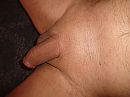 Pimel, foto 2592x1944, 1 reacties, 2 stemmen
