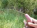 Plasje doen, foto 2048x1536, 3 reacties, 13 stemmen