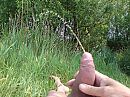 Plasje doen, foto 2048x1536, 7 reacties, 17 stemmen
