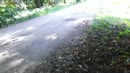 Plezier in het park, film 00:00:00, 28 reacties, 83 stemmen