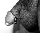 Plug in my cock, foto 677x568, 1 reacties, 2 stemmen