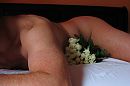 Pluk een ...., foto 2090x1394, 0 reacties, 5 stemmen