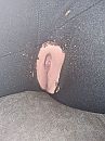 Poesje, foto 720x960, 17 reacties, 57 stemmen