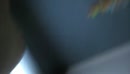 Praatjes, film 00:00:00, 7 reacties, 121 stemmen