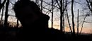 Prachtige ochtendwandeling, foto 3264x1472, 0 reacties, 1 stemmen