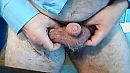 Presenteer ..., foto 640x360, 2 reacties, 1 stemmen