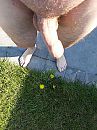 Puur, foto 3000x4000, 0 reacties, 4 stemmen