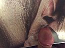 Rukken, foto 2592x1936, 0 reacties, 0 stemmen