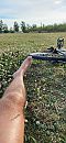 Rustpauze, foto 444x960, 2 reacties, 8 stemmen