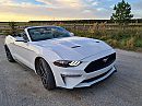 Samantha's ho car in Florida, foto 4000x3000, 4 reacties, 0 stemmen