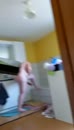 Scheerbeurt, film 00:00:13, 15 reacties, 96 stemmen