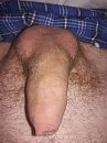 Scheren of niet, foto 3000x4000, 1 reacties, 7 stemmen