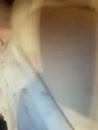 She can better, film 00:00:19, 0 reacties, 7 stemmen