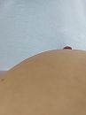 Shirt, foto 1536x2048, 1 reacties, 6 stemmen