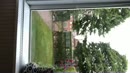 Slaaf geblinddoekt, film 00:00:00, 2 reacties, 8 stemmen