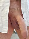 Snapshot, foto 2208x2944, 12 reacties, 20 stemmen