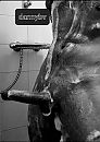 Soapy showers, foto 1078x1516, 0 reacties, 6 stemmen