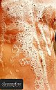 Soppen soppen soppen, foto 1078x1715, 0 reacties, 3 stemmen
