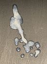 SpermArt, foto 3000x4000, 0 reacties, 2 stemmen