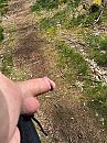 Sportief, foto 3000x4000, 5 reacties, 9 stemmen