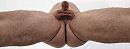 Spreidstand, foto 1729x657, 1 reacties, 4 stemmen