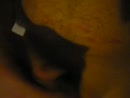 Spuiten, film 00:00:14, 25 reacties, 38 stemmen