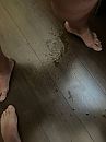 Spuitend…, foto 1536x2048, 14 reacties, 53 stemmen