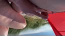 Sssht!!!, film 00:00:10, 10 reacties, 65 stemmen